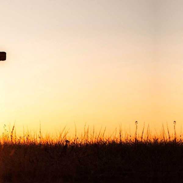 How To Save Your Grades (If You Need To)