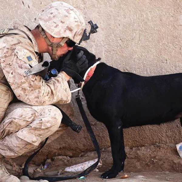 Why Dogs are a Man's Best Friend