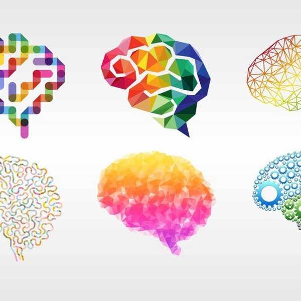 20 Things Only Psychology Majors Will Understand