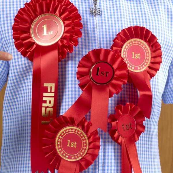 15 Signs You're an Overachiever