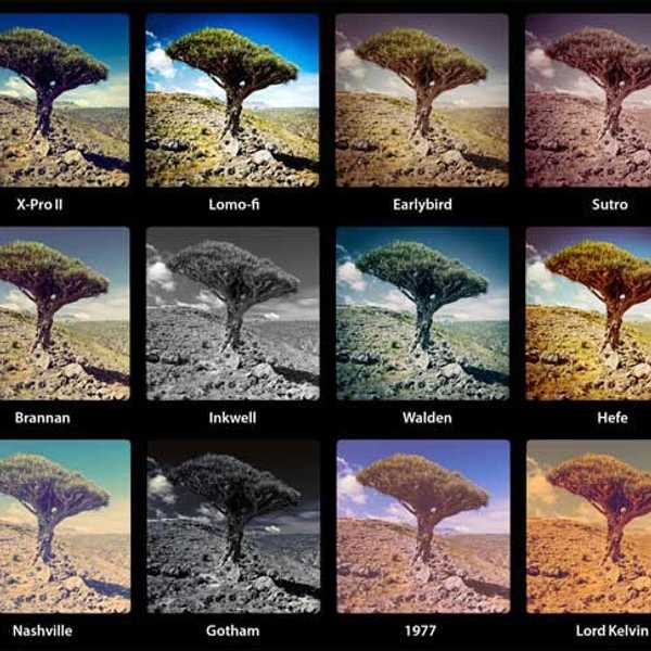How Filters and Editing Are Changing Our Perception of Beauty