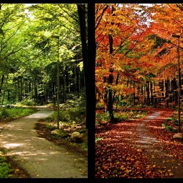 Do We Change Without Telling People?