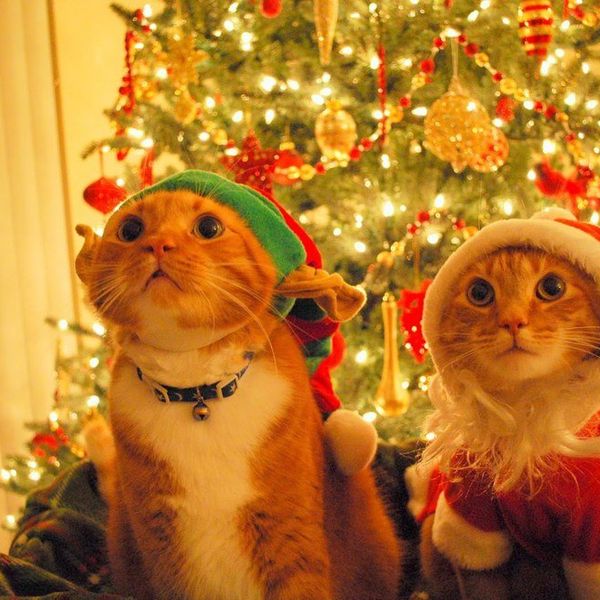 To The Early Christmas Fanatics