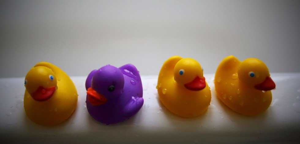 Why does it matter that we are different?