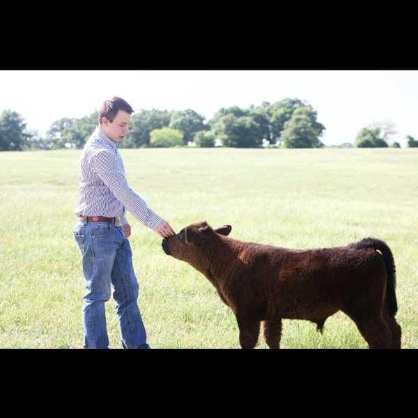 An Open Letter to a Senior Stockshow Kid