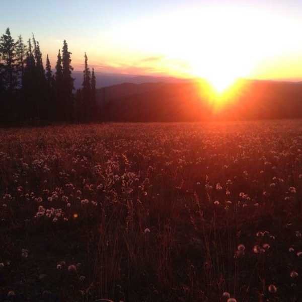 Never Get So Busy Making A Living That You Forget To Make A Life