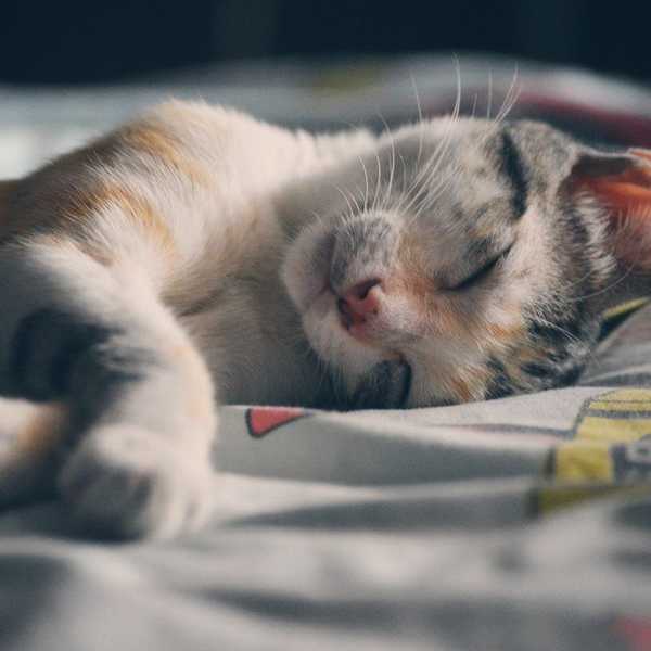 What You'll Miss The Most About Home