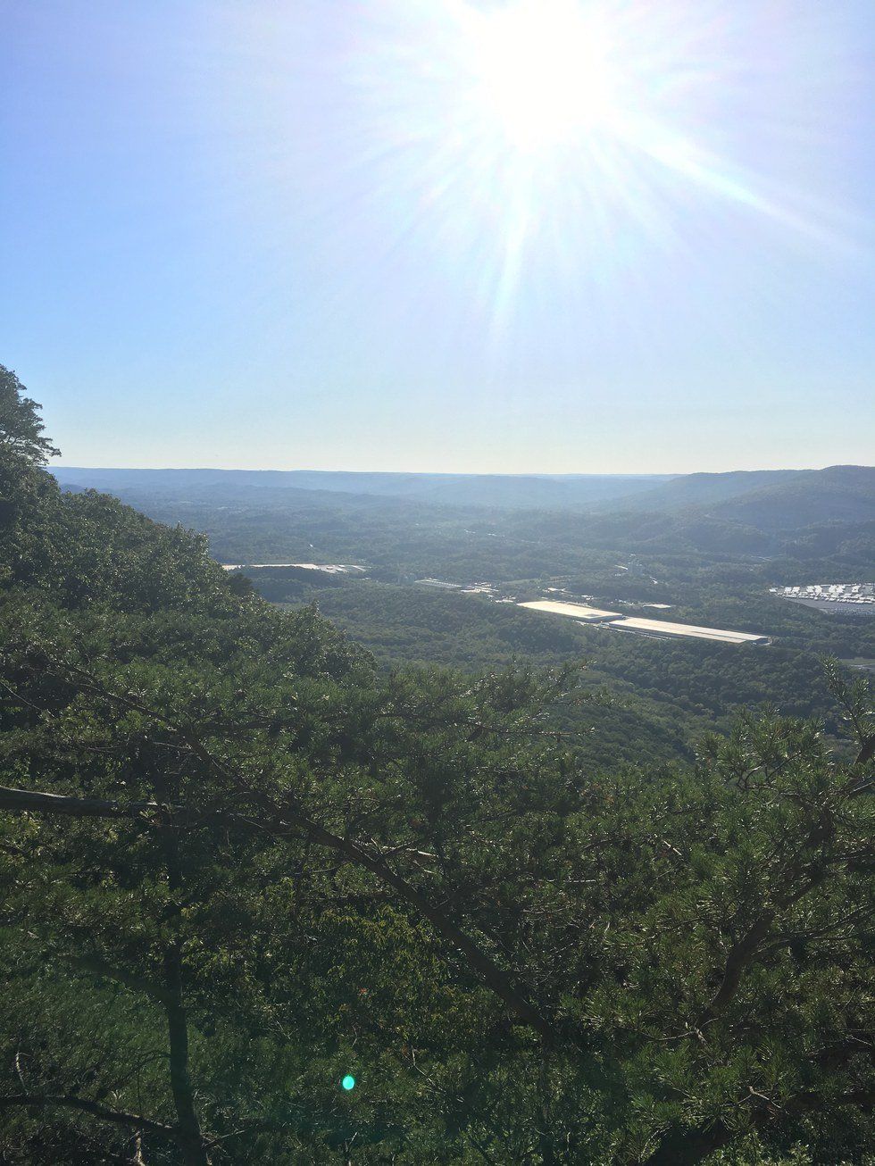 When Your Parents Come To Visit