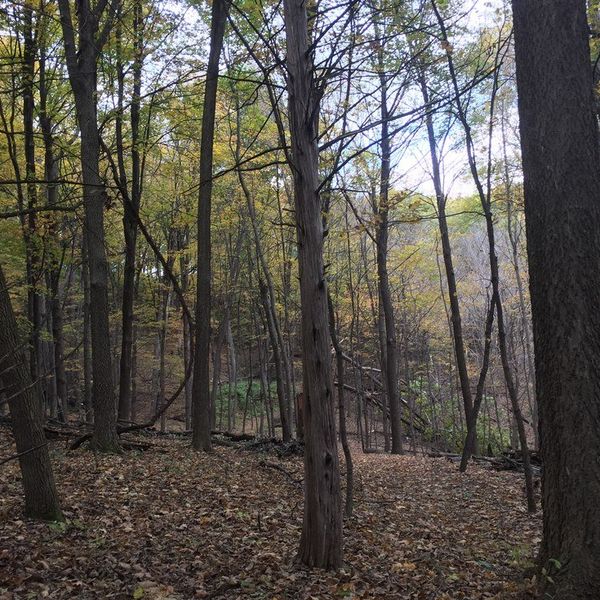 20 Things You Should Be More Afraid Of Than Clowns