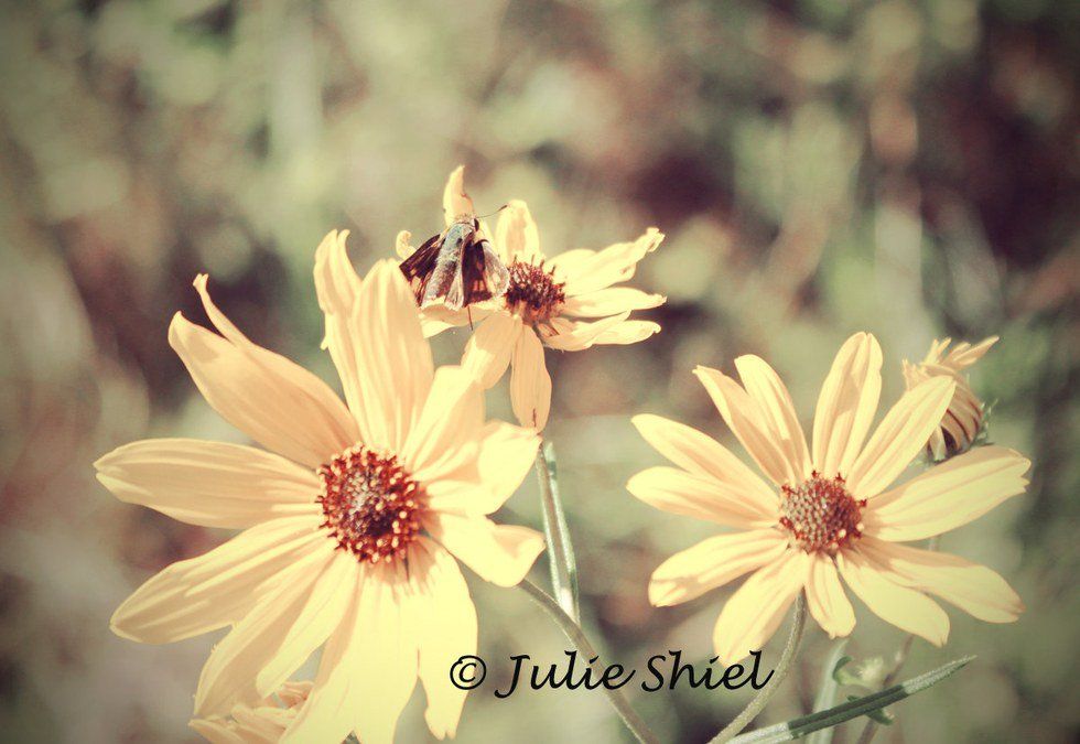 Why Her Smile Wasn't a Happy One