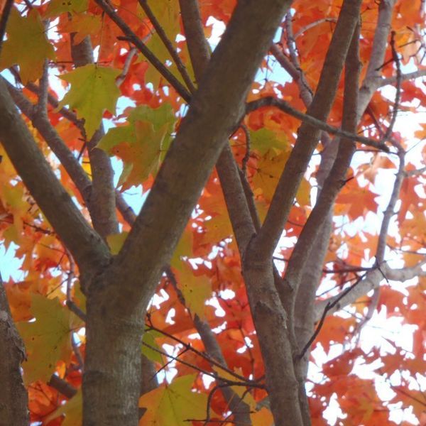 8 Reasons To Love Fall