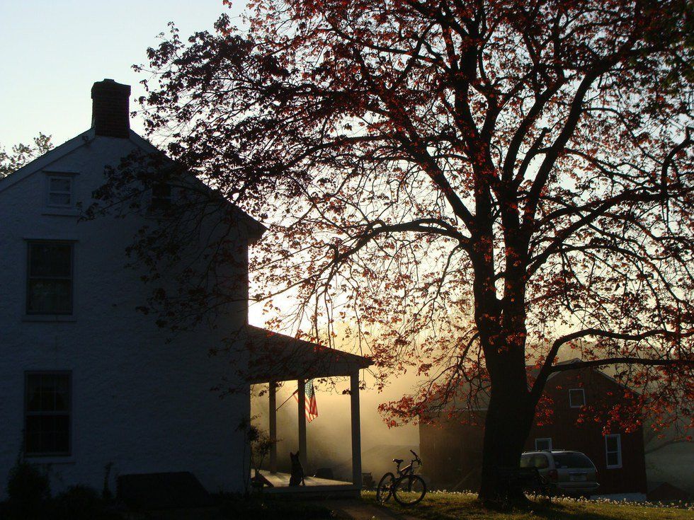 Linton Stone Farm: In Loving Memory
