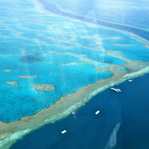 A Pre-Mature Death: Rest In Peace Great Barrier Reef