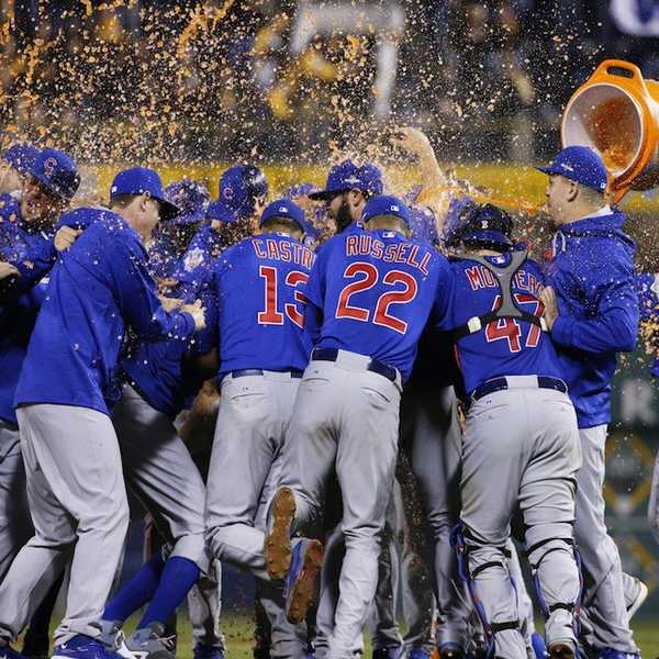An Interview With The Biggest Cubs Fan I Know