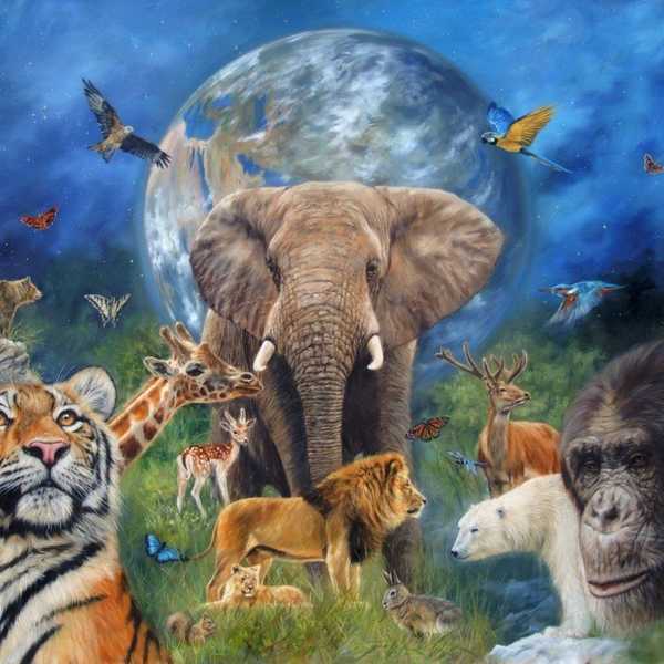 Extinct And Endangered: How We Can Stop The Decline Of Biodiversity Today