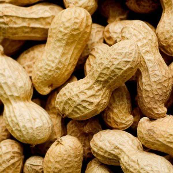 Growing Up With Food Allergies