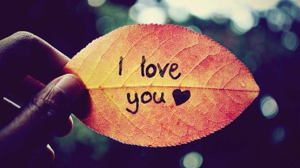 All The Ways I Say "I Love You"
