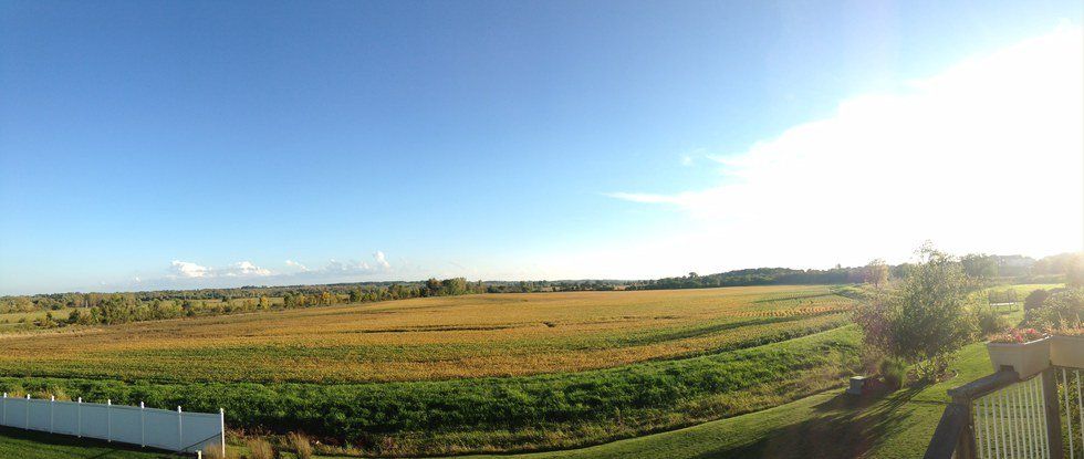 Growing Up In Iowa: The Values I’ve Learned And The Pleasures I’ve Experienced