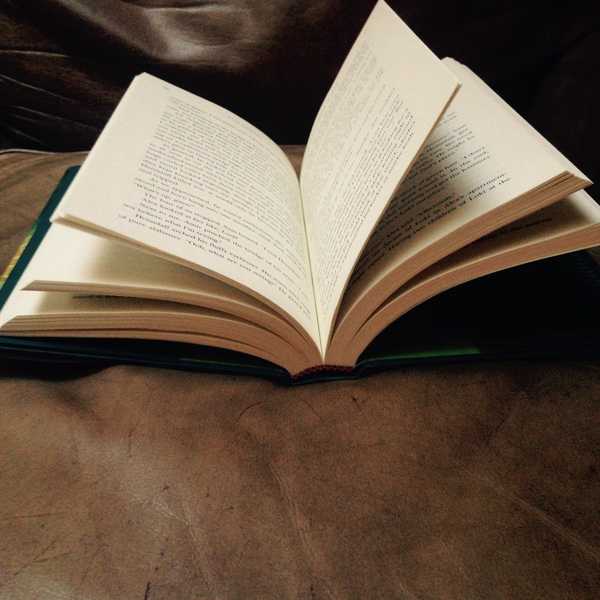 Stop Apologizing For The Books You Read