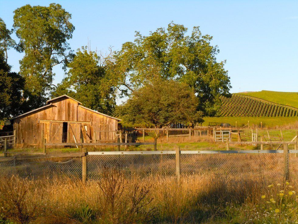 23 Song Lyrics You Need To Hear When You're Upset