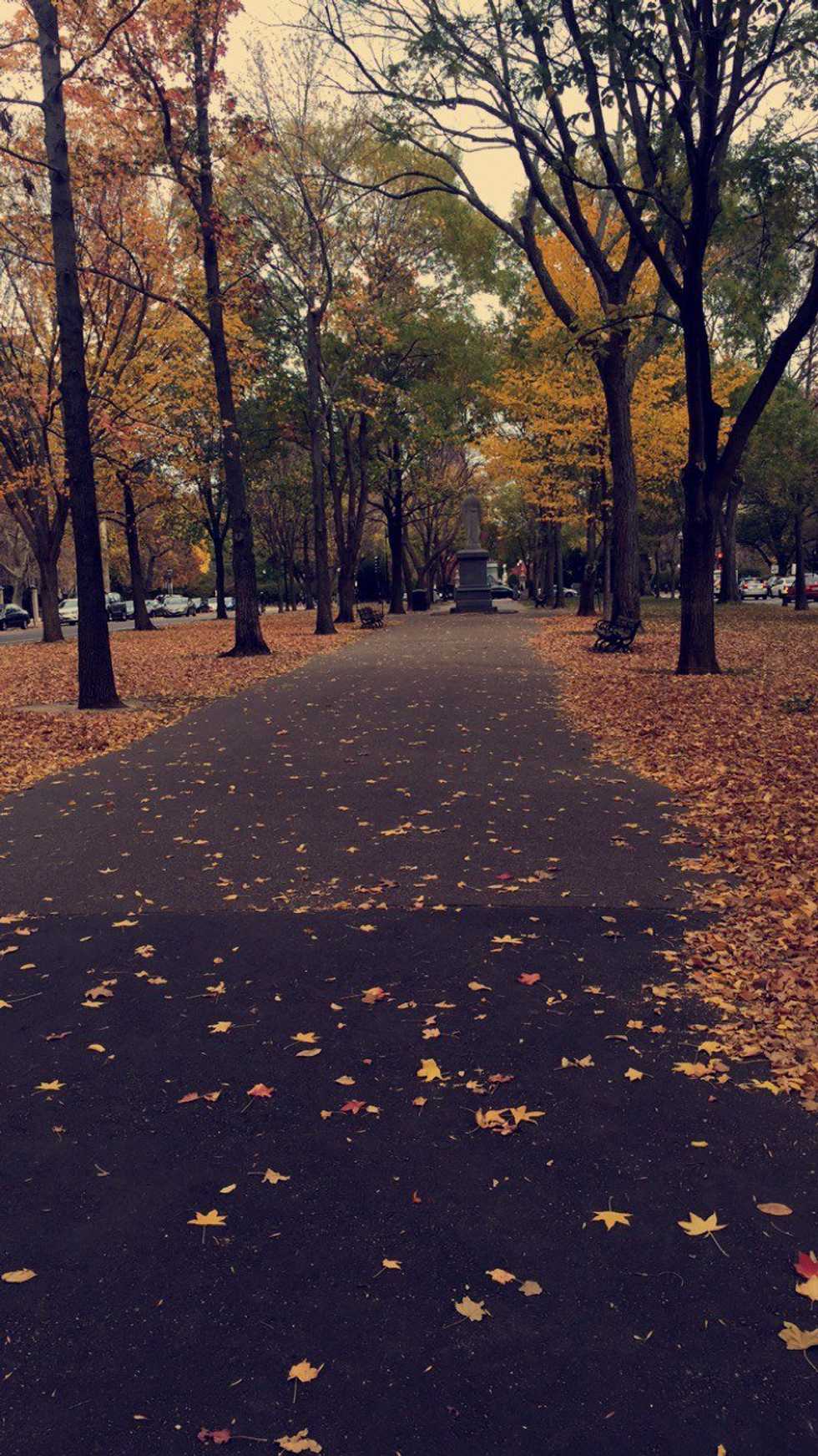 Reasons to Love October