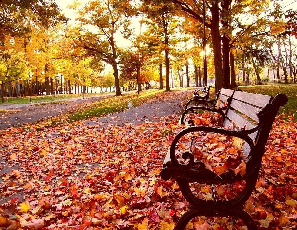 5 Reasons Why Everyone Loves Fall