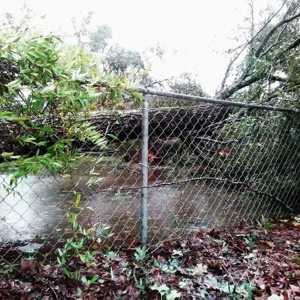 Surviving Hurricane Matthew
