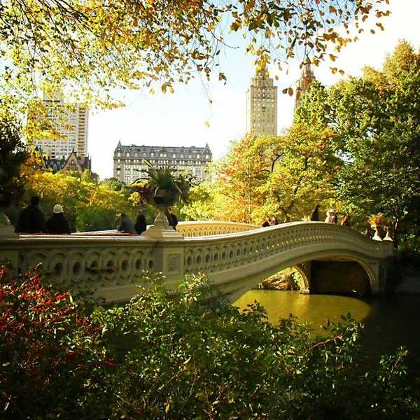 21 Things You Learn Your First Month Living in New York City