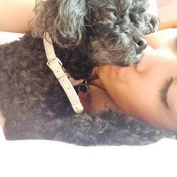 5 Reasons Having a Dog Makes You a Parent