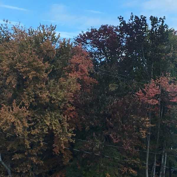 10 Things To Love About Fall