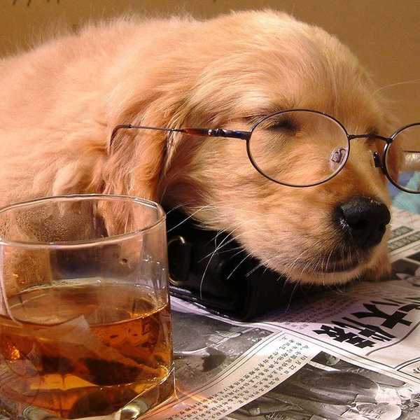 Thoughts Students Have During Midterms