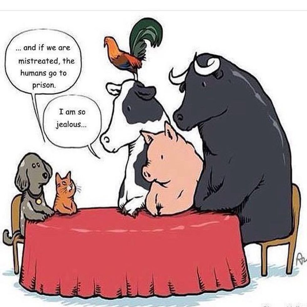 The Exclusivity of Animal Rights and Equality