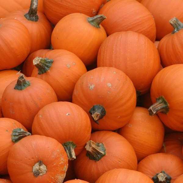 Why I Love Halloween