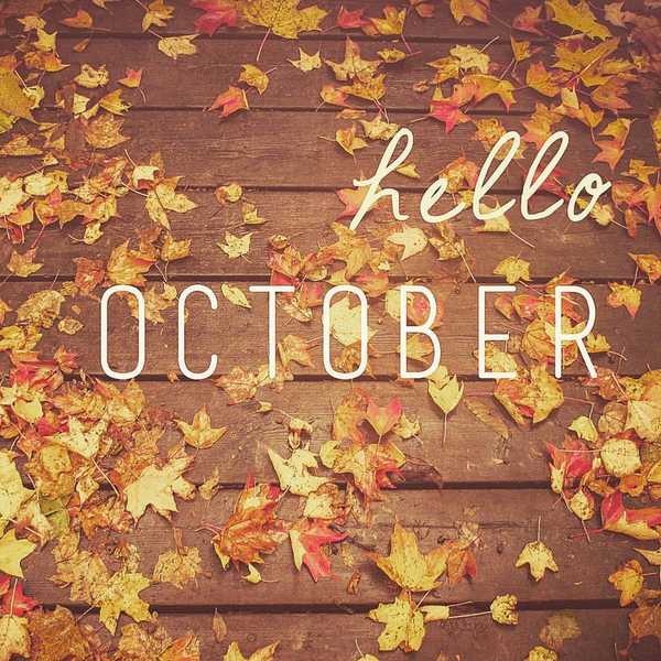 The Best 5 Things To Do During October