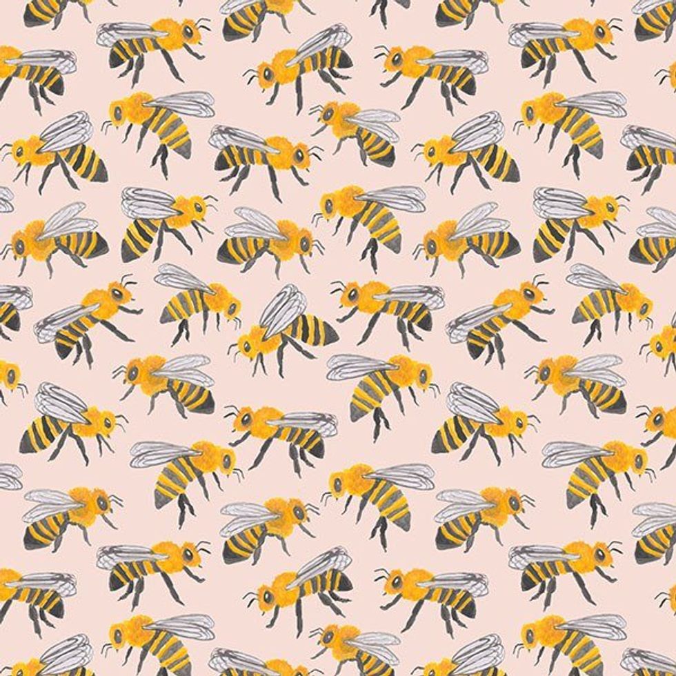 The Bee Obsession: Explained