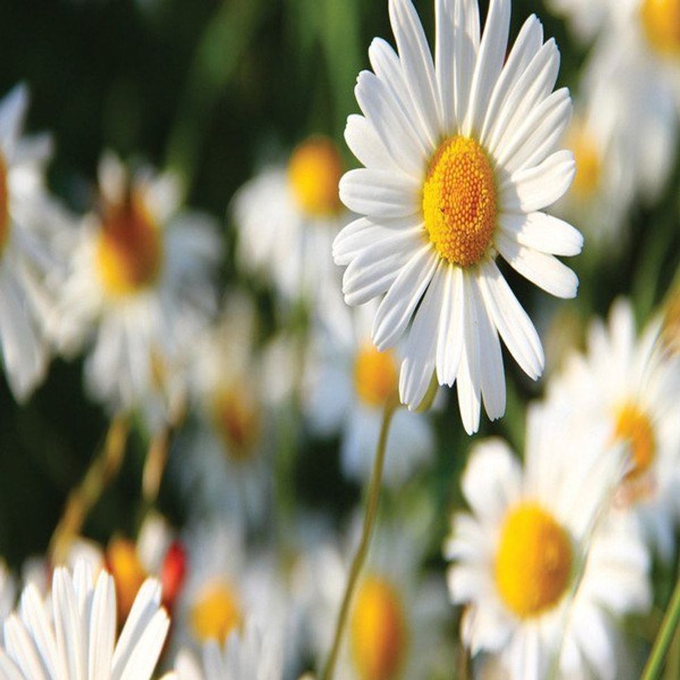 An Open Letter to My Little On Her Intiation Day