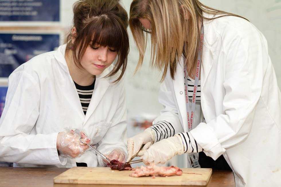 14 Struggles of Being Biology Majors