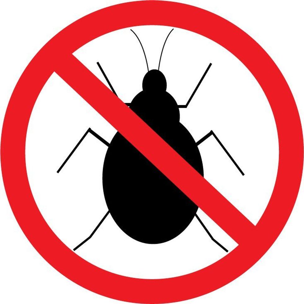 How to Kill a Bug 101