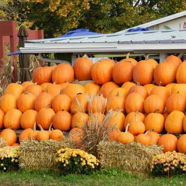 10 Things I Am Thankful For This Holdiay
