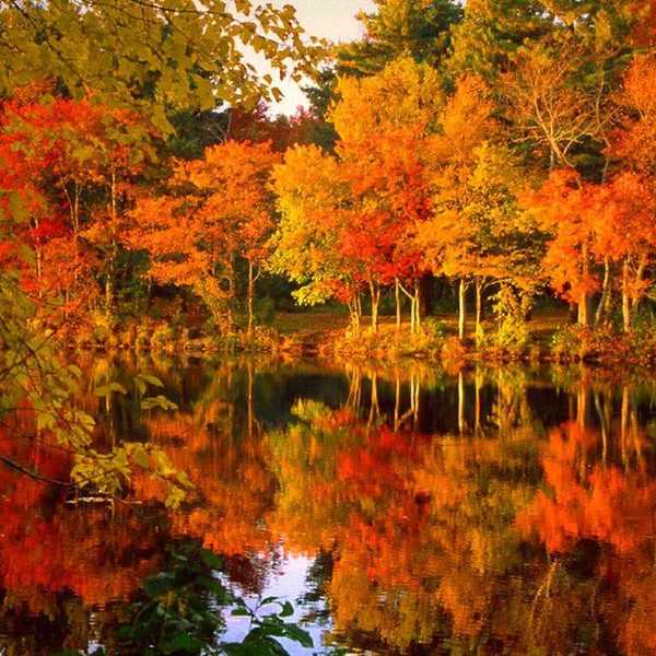The Best Fall Activities