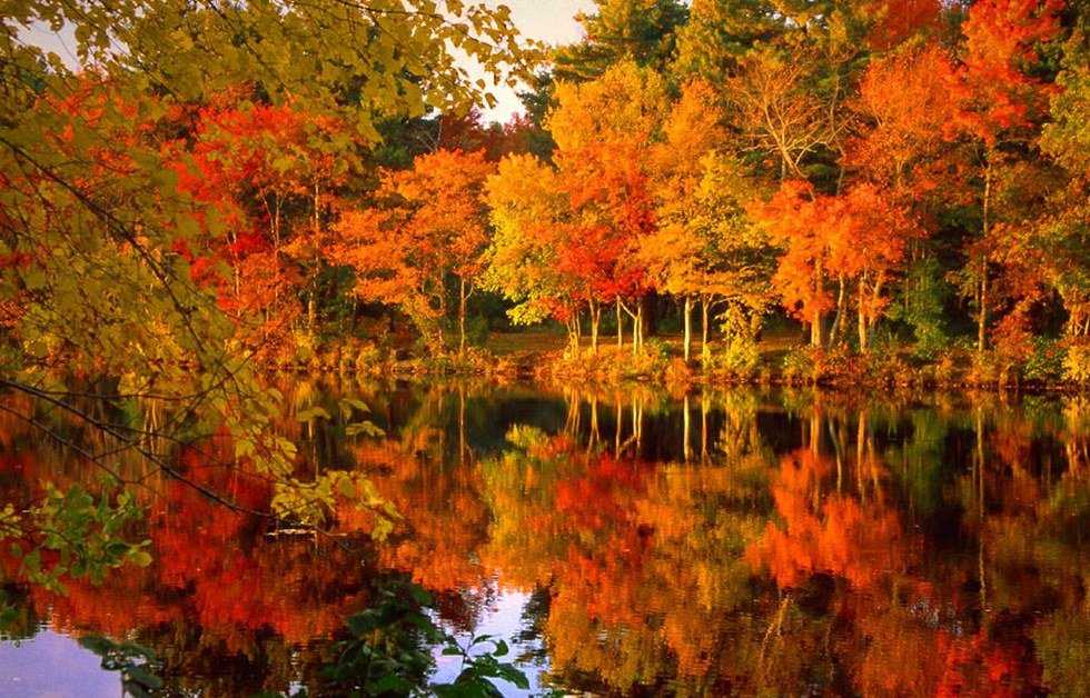 The Best Fall Activities