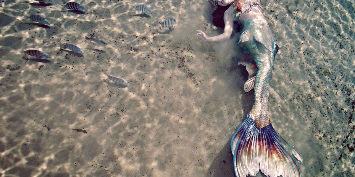 Halp Fish If You're A Mermaid, I'm A Mermaid | The Odyssey Online