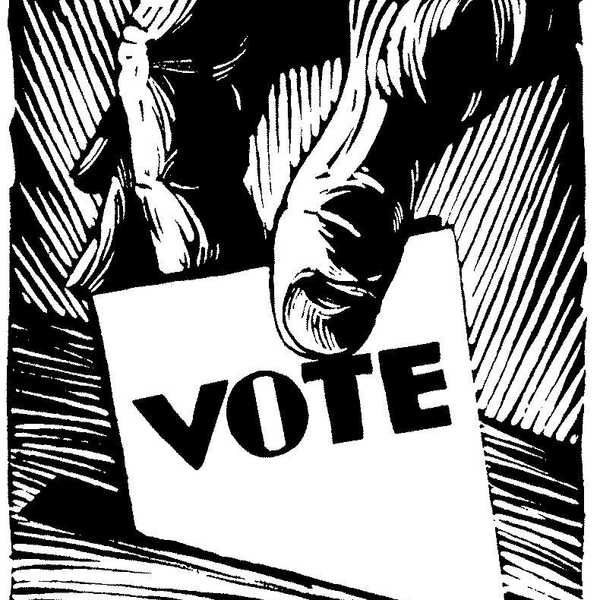 Are Citizens Voting For A Politician Or An STD?