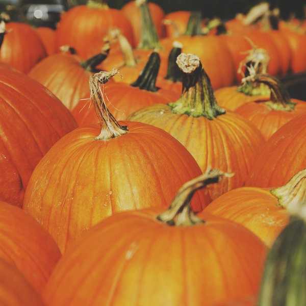5 Things Adults Miss About Halloween
