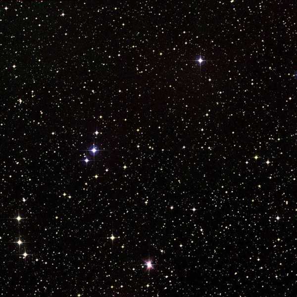 To the Mom I Never Met