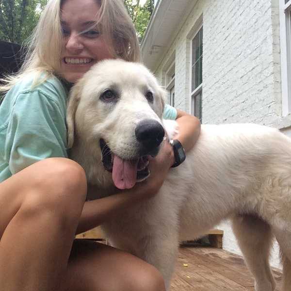 Hey, You. You Need A Dog.