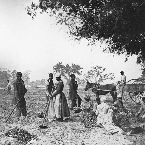 When slaves were freed