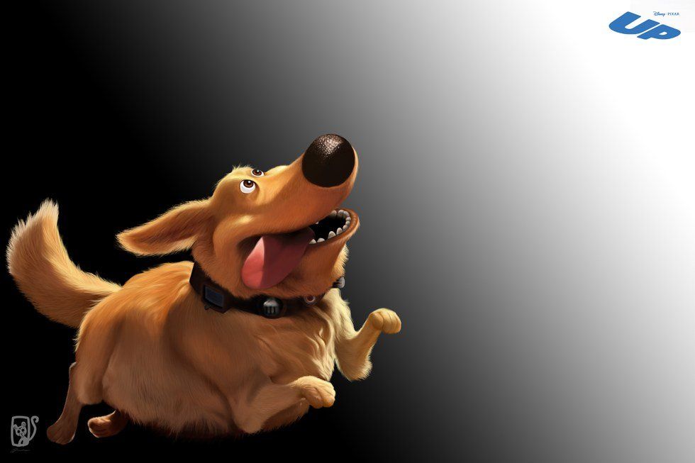 A Distracted Learner's Guide To Study