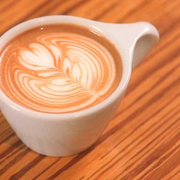 The Beginner's Guide to Coffee