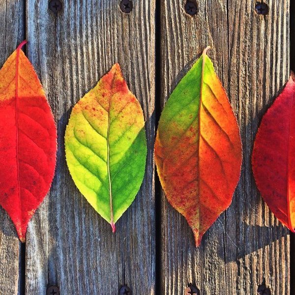 The Seasons Are Changing And So Are All Of Us